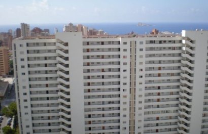 Segunda mano - Apartamento / piso -
Benidorm - Zona de Poniente