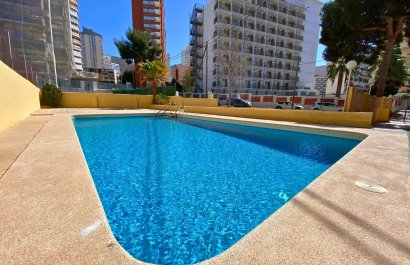 Segunda mano - Apartamento / piso -
Benidorm - Levante