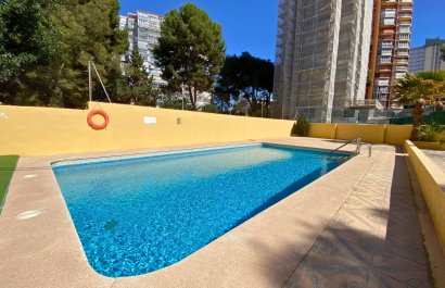 Segunda mano - Apartamento / piso -
Benidorm - Levante