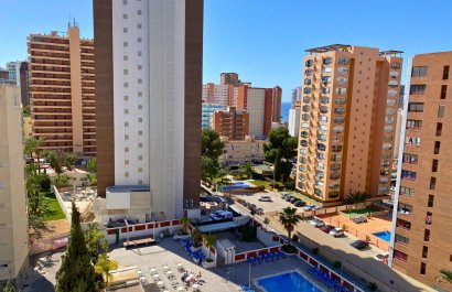 Segunda mano - Apartamento / piso -
Benidorm - Levante