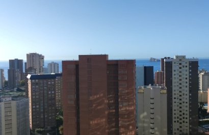 Segunda mano - Ático -
Benidorm - Zona de Poniente