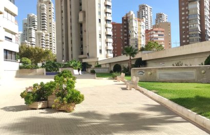 Segunda mano - Ático -
Benidorm - Zona de Poniente