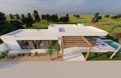 Nieuwbouw - Villa -
Pilar de la Horadada - 