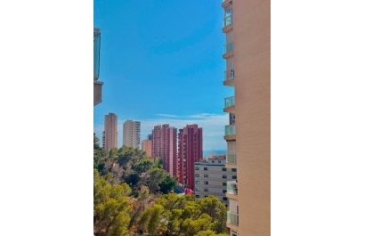 Herverkoop - Appartement / flat -
Benidorm - Rincón de Loix