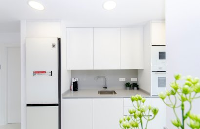 Obra nueva - Villa -
Los Montesinos - Montesinos