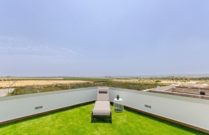 Obra nueva - Villa -
Los Montesinos - Montesinos