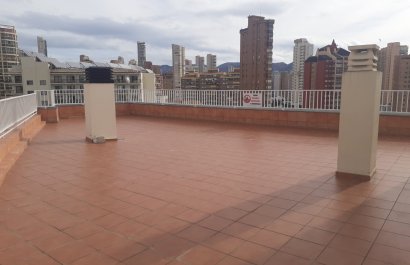 Segunda mano - Apartamento / piso -
Benidorm - Zona de Poniente