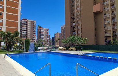 Segunda mano - Estudio -
Benidorm - Levante