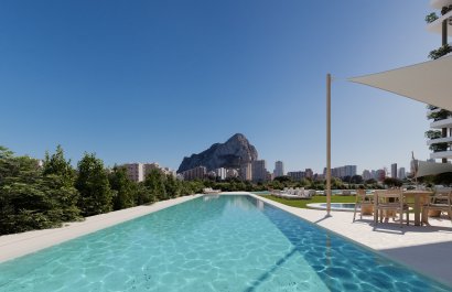 Obra nueva - Apartamento / piso -
Calpe