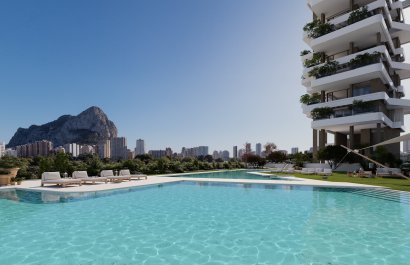 Obra nueva - Apartamento / piso -
Calpe