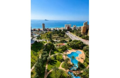 Segunda mano - Apartamento / piso -
Benidorm - Zona de Poniente