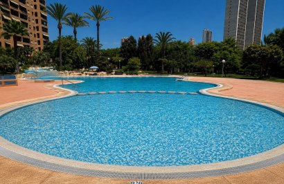 Segunda mano - Apartamento / piso -
Benidorm - Zona de Poniente