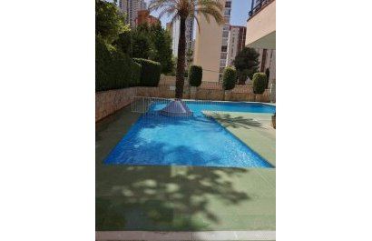 Segunda mano - Apartamento / piso -
Benidorm - Rincón de Loix