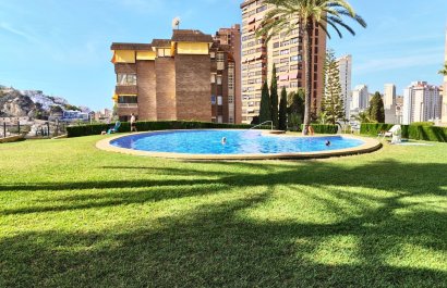 Segunda mano - Apartamento / piso -
Benidorm - Zona de Poniente
