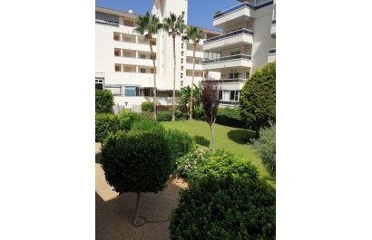 Segunda mano - Apartamento / piso -
Albir - centro