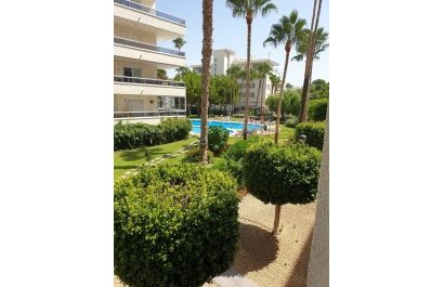 Segunda mano - Apartamento / piso -
Albir - centro