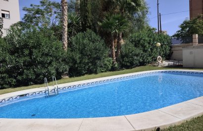 Segunda mano - Apartamento / piso -
Benidorm - Zona de Poniente