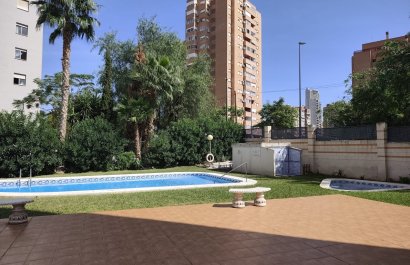 Segunda mano - Apartamento / piso -
Benidorm - Zona de Poniente