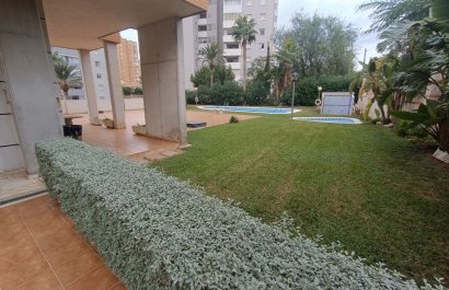 Segunda mano - Apartamento / piso -
Benidorm - Zona de Poniente