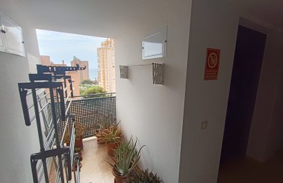 Segunda mano - Apartamento / piso -
Benidorm - Zona de Poniente