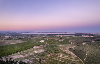 Obra nueva - Villa -
San Miguel de Salinas
