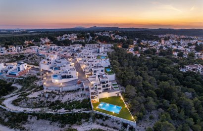 Obra nueva - Villa -
San Miguel de Salinas