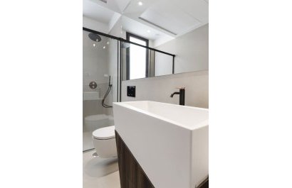 New Build - Chalet independiente -
Algorfa