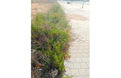 Segunda mano - Parcela / Terreno -
Villajoyosa