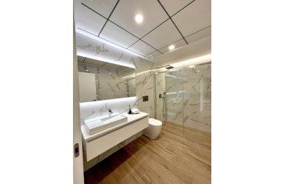 Nouvelle construction - Villa / Jumelée -
Algorfa