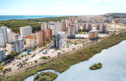 Nouvelle construction - Appartement -
Guardamar del Segura - Guardamar pueblo