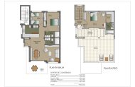 Obra nueva - Villa -
San Miguel de Salinas